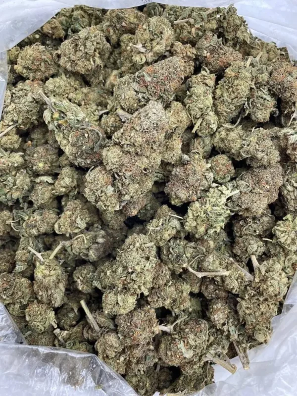 Lemon Jack - Image 2