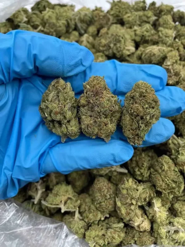 Buy Weed Rhode island, where can I buy marijuana in Rhode Island, how to buy marijuana legally in Rhode Island, what are the best places to buy marijuana